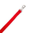 1-Inch X 4-Foot Red Nylon Single Layer Dog Leash